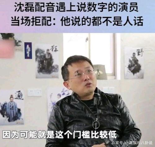娱乐圈爆料配音演员,揭秘娱乐圈配音演员的幕后风云
